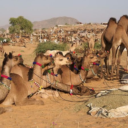 Sajjan Bagh A-Heritage Resort Pushkar Dış mekan fotoğraf